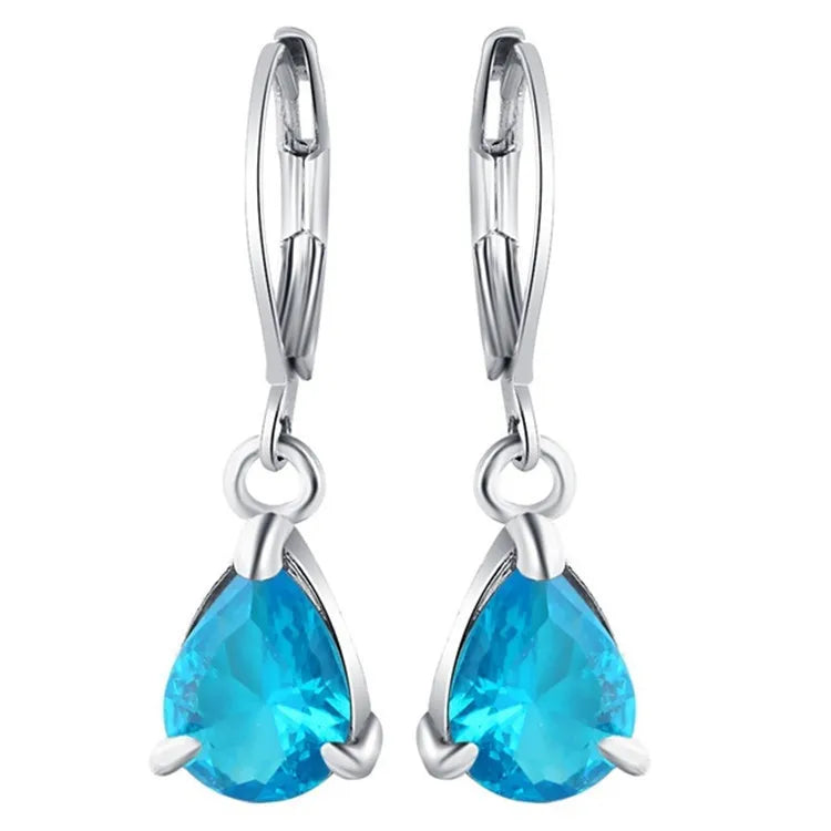 Silver Hook Earrings Dolphin Zircon High Quality