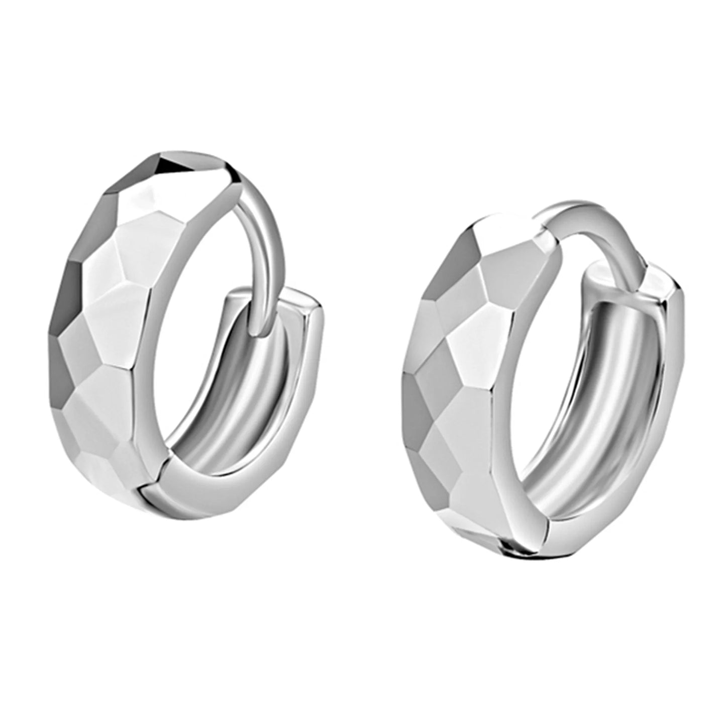 Silver Hook Earrings Dolphin Zircon High Quality
