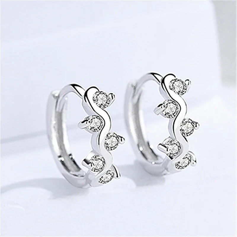 Silver Hook Earrings Dolphin Zircon High Quality